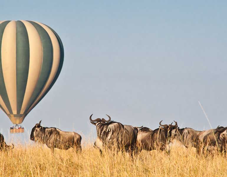 Masai Mara Balloon Safari