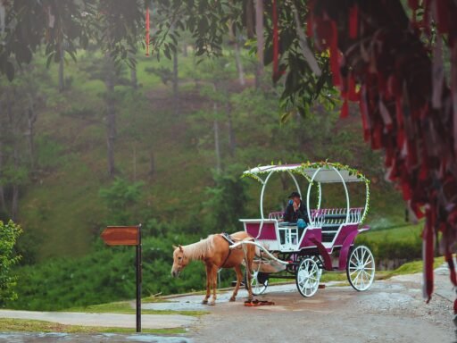 New York City Horse Carriage Rides