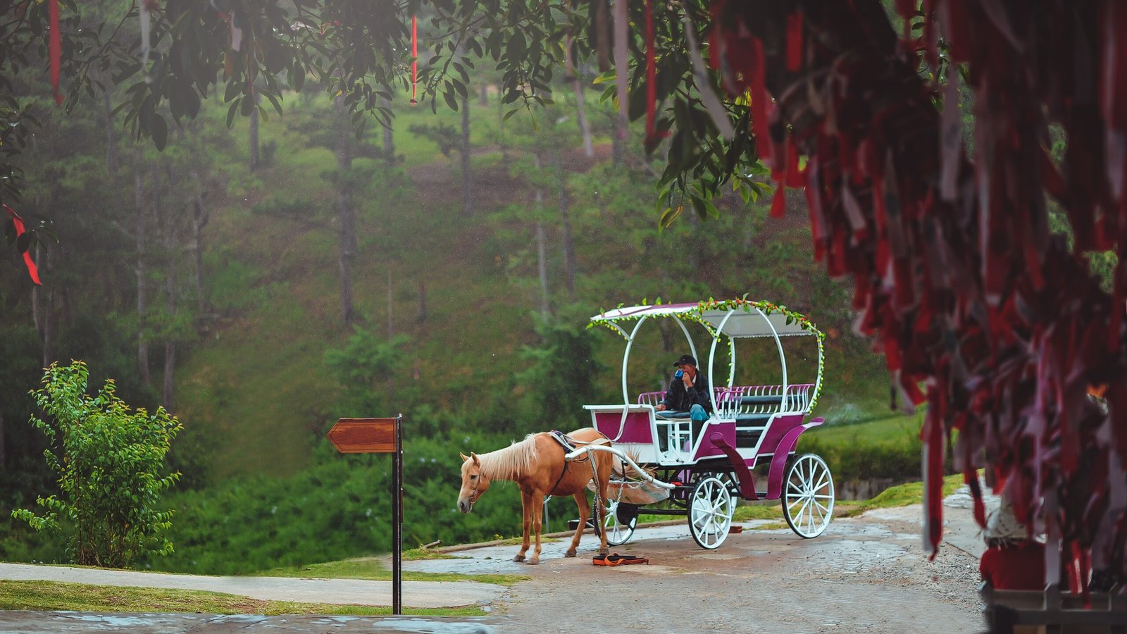 New York City Horse Carriage Rides