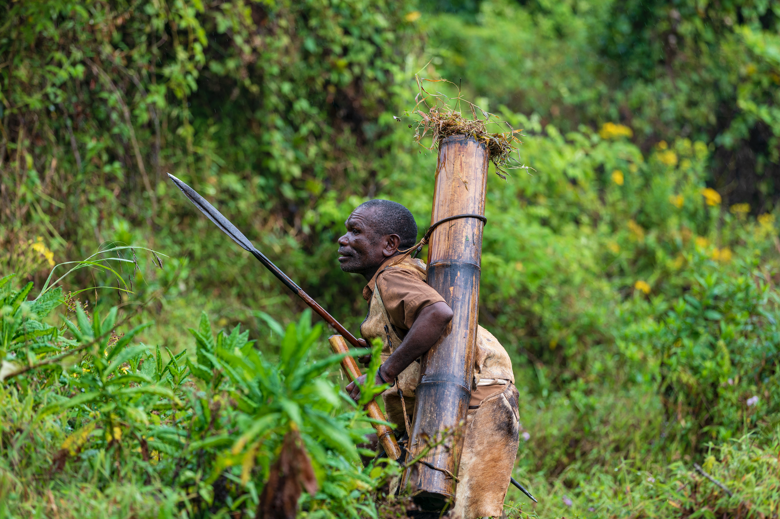 WildLife in Uganda