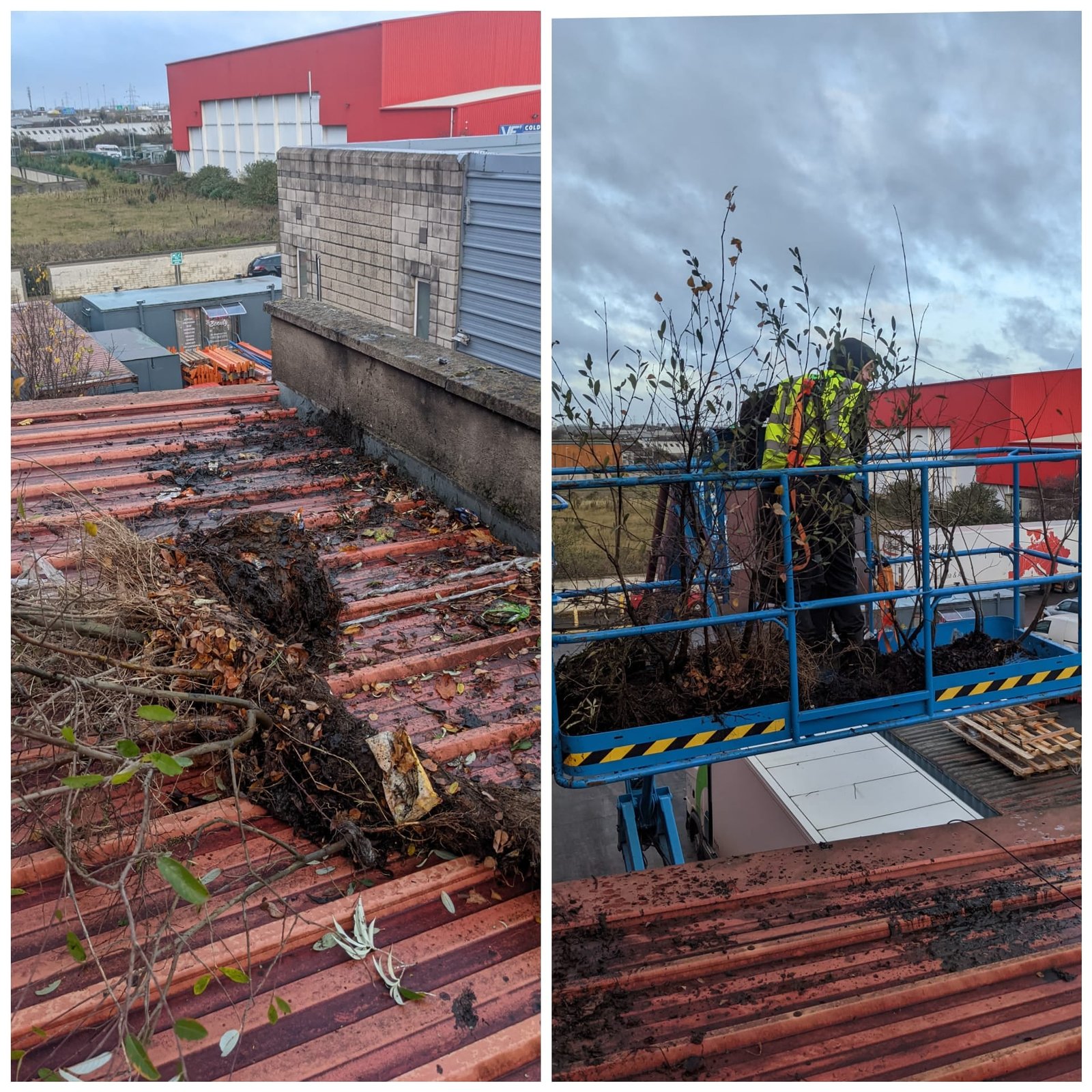 gutter cleaning in Dublin